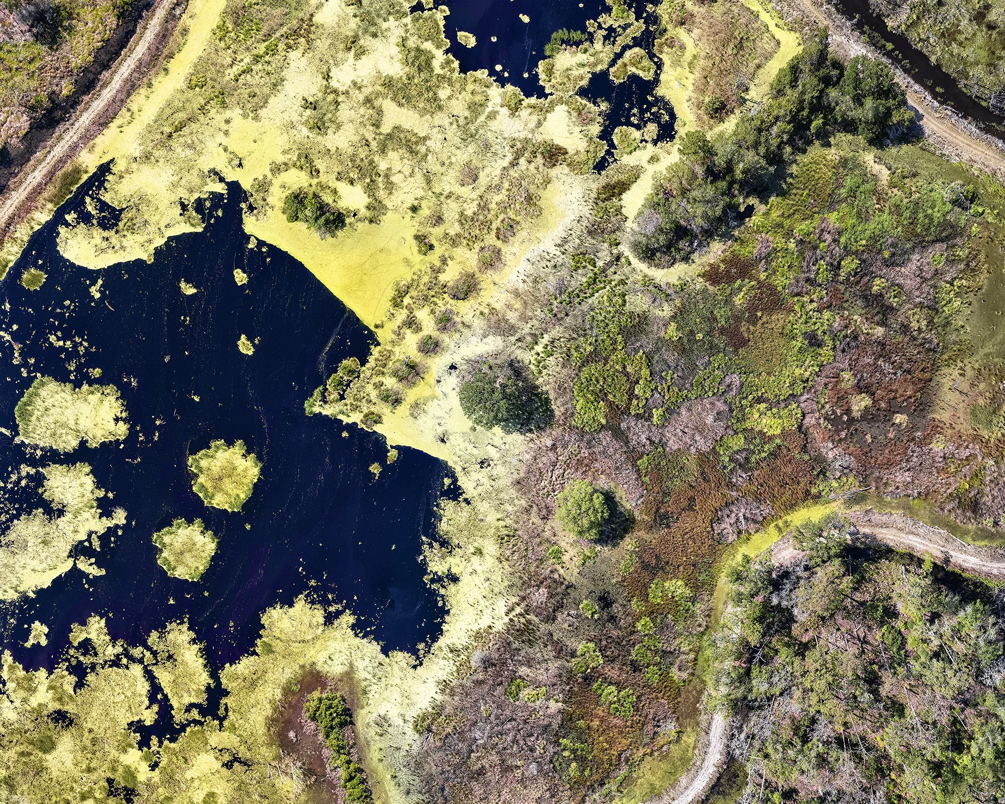 Reynolds Duck Pond, Sapelo Island (2022)